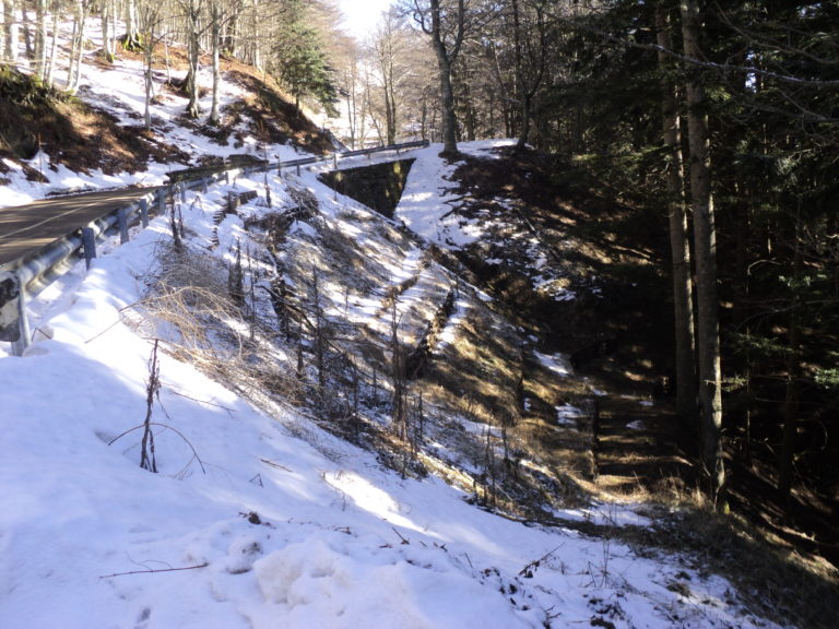 Ingegneria naturalistica ripristino frane